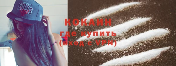 спиды Пересвет