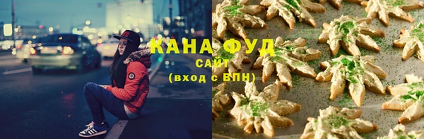 МДПВ Алзамай