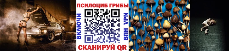 Псилоцибиновые грибы MAGIC MUSHROOMS что такое это формула Волжский